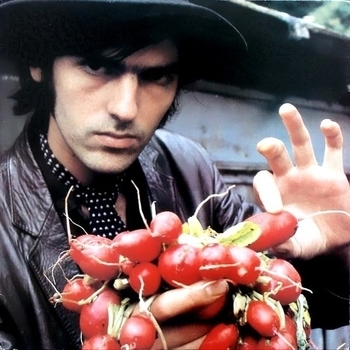 Robyn Hitchcock - Cathedral