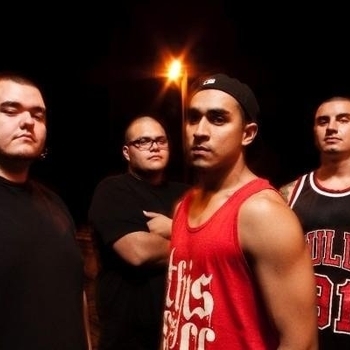 Rooks - Countermeasure