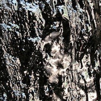 Rms feat Soho - Cold (ОСТ из "Молокососы / Skins") (Сезон 5) (Серия 5)