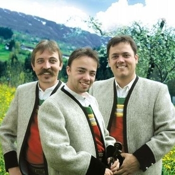 Ursprung Buam - Wia die Schwalben