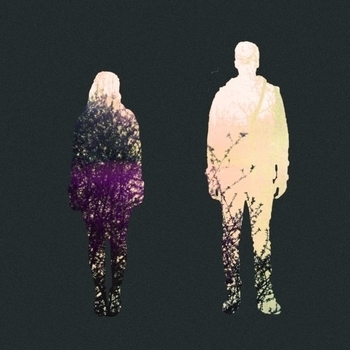 Vallis Alps - So Settled