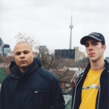 Visionary - Ashes (Cover)