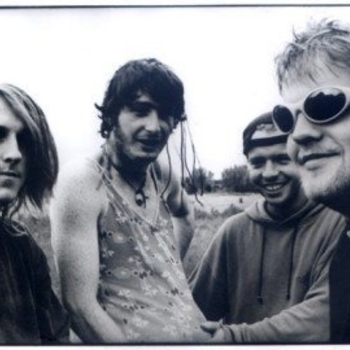 Vypsana Fixa - Caddy