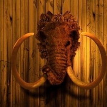 Woolymammoth - † ELLA †