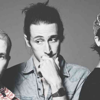 Wildcat! Wildcat! - Please And Thank You