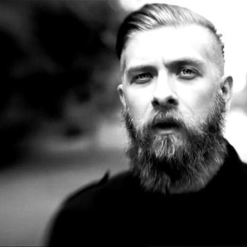 Woods of Ypres - I Was Buried in Mount Pleasant Cemetery