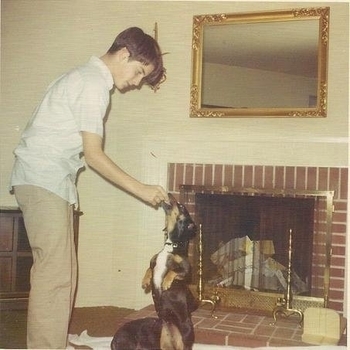 The Girl Next Door - ON TOP