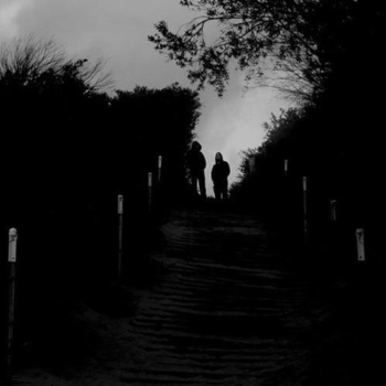 Woods of Desolation - Darker Days