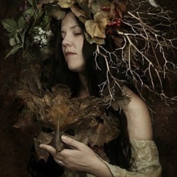 Woodland - Long Gone