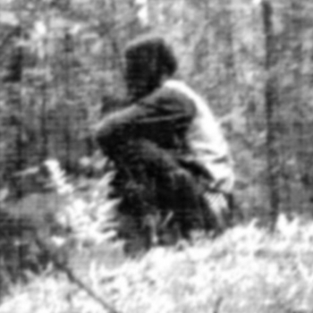 Wanderer - The Wanderer