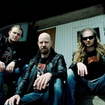 Warfect - Inflammatory