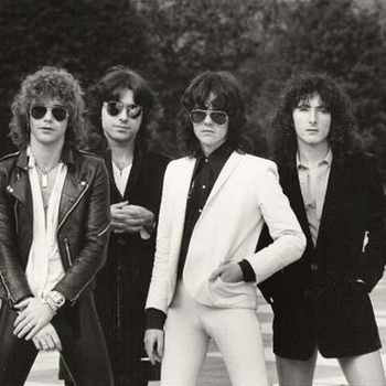 Wild Horses - Funky Poodle