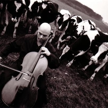 Wolfram Huschke - Soaring