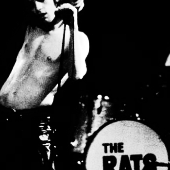 Wylde Ratttz - TV. Eye (ОСТ "Gimme Danger. История Игги и The Stooges" \ "Gimme Danger")