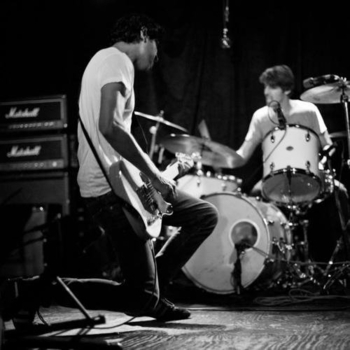 Wildlife Control - Brooklyn