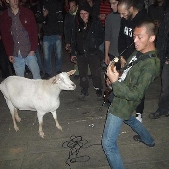 Wormrot - Freedom to Act