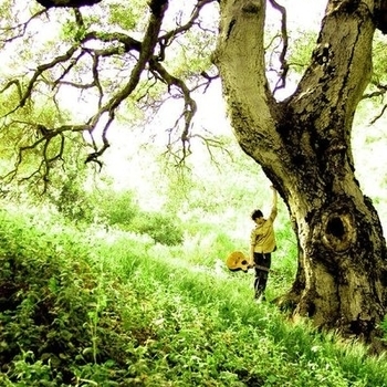 Will Dailey - Come As You Are (Cover)