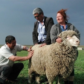 YK - wap.azrap.kmx.ru