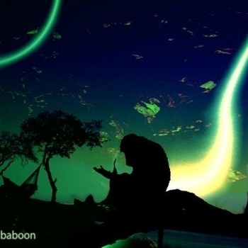 Zen Baboon - Chocolate Sushi