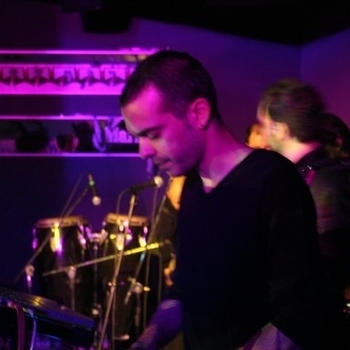 Zen Garden - Winter Tree