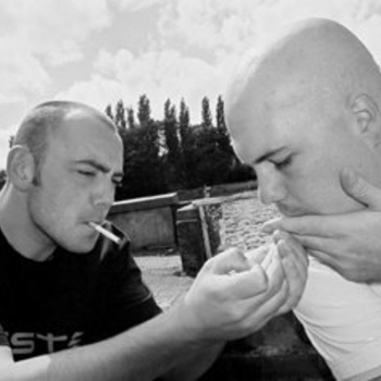 Phoebe Killdeer - sunshine lazy