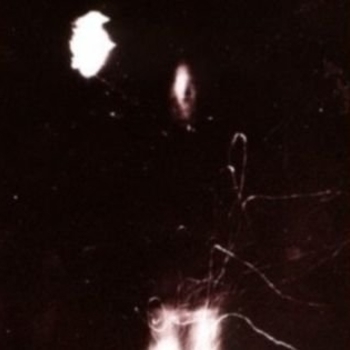 Zpoan Vtenz - Jos Brolis In Kareli