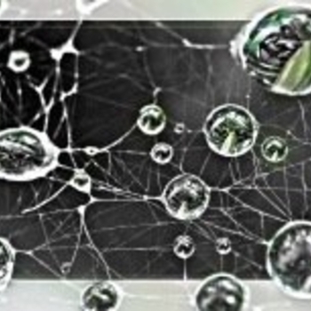 Zaurio - Expectation