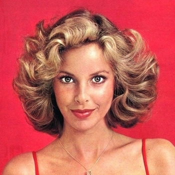 The Sheepdogs - The First Year