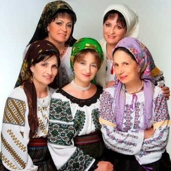 Vocea României - Ielele (Live)