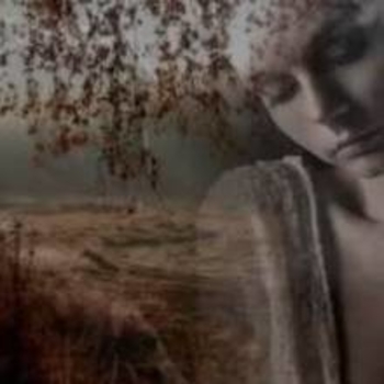 Сергей Шааб - Стучит к тебе любовь (2019)