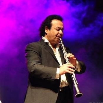 Vassilis Saleas - The Will Of The Wind