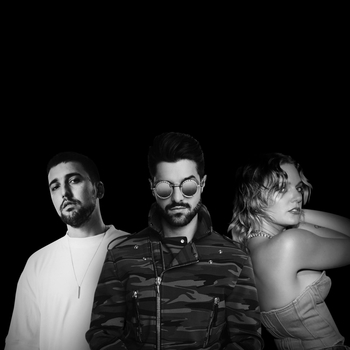 Alok feat Ilkay Sencan, Tove Lo - Don't Say Goodbye (2020)