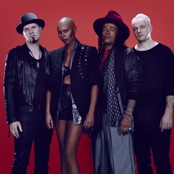Артист Skunk Anansie