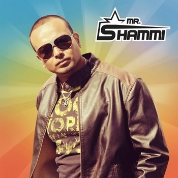 Mr. Shammi and Laurent Wery - Up 2 The Sky (DJ Tool) (Single 2018)