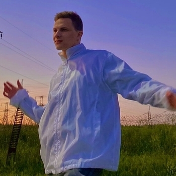 Дульский - Ромашки