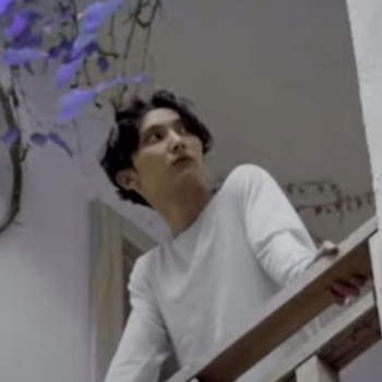 Артист Shvringvn