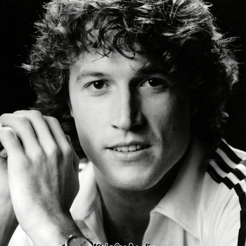 Olivia Newton-John and Andy Gibb - Rest Your Love On Me (1980)