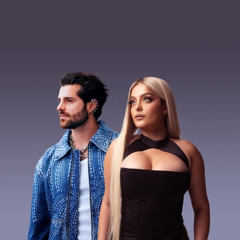 Артист Alok and Bebe Rexha