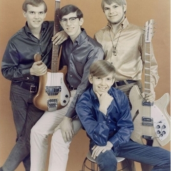 The Castaways - Liar, Liar