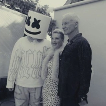 Marshmello and P!nk, Sting - Dreaming (2024)