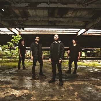 British Sea Power - Spearing The Sunfish