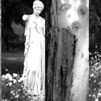 Like Elephants - Nothing (Better Days 2022)