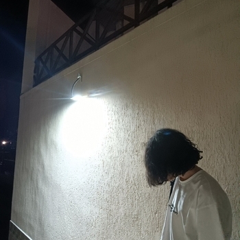 Zalik, Yokai, Dayw - Bona cerrata