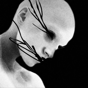 Артист Shadowrhyme