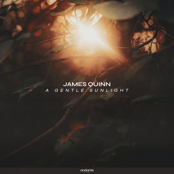 James Quinn - Le Carrousel