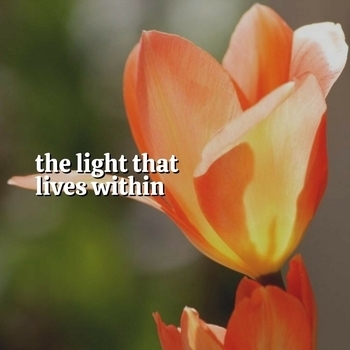 Study Music feat Mindfulness Meditation Universe, Massage Therapy Music - Croaking Creeks (2021)