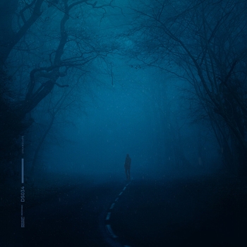 reidenshi - I Can’t Find a Way Out