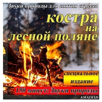 Amadeus - Костра в лесу в полночь