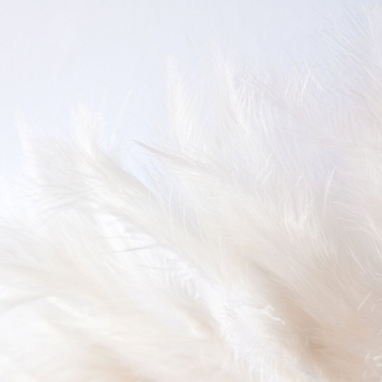 Jordane Tumarinson - Turbulence