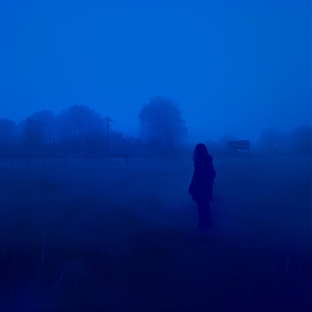 Softdope, The9thxlife, Duskflow - Sea Sunset